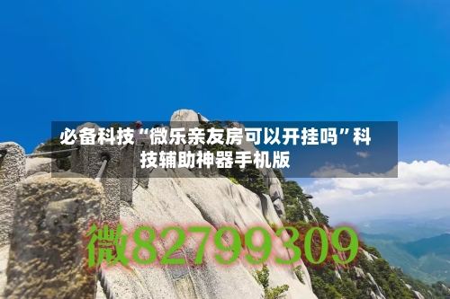 必备科技“微乐亲友房可以开挂吗”科技辅助神器手机版-第3张图片