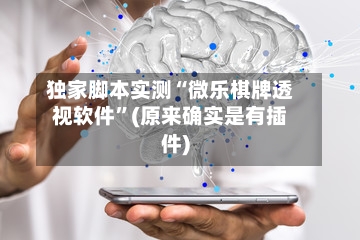 独家脚本实测“微乐棋牌透视软件”(原来确实是有插件)-第3张图片