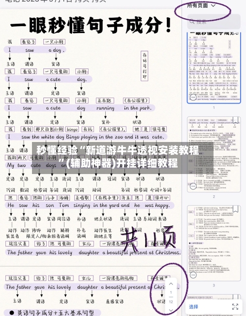 秒懂经验“新道游牛牛透视安装教程”(辅助神器)开挂详细教程-第3张图片