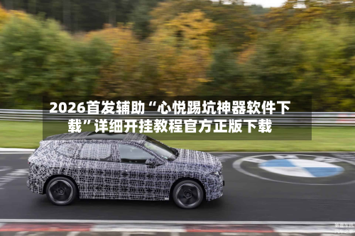 2026首发辅助“心悦踢坑神器软件下载	”详细开挂教程官方正版下载-第2张图片