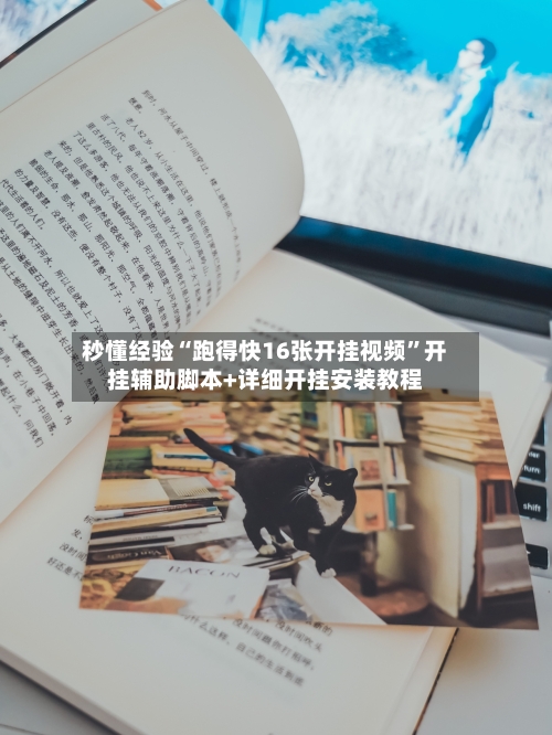 秒懂经验“跑得快16张开挂视频”开挂辅助脚本+详细开挂安装教程