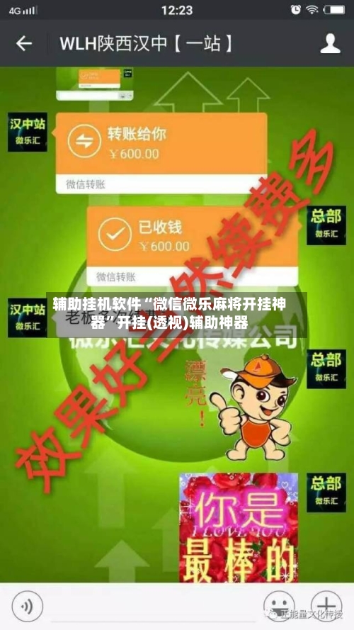 辅助挂机软件“微信微乐麻将开挂神器”开挂(透视)辅助神器-第3张图片