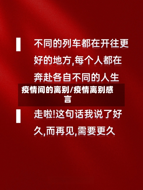 疫情间的离别/疫情离别感言