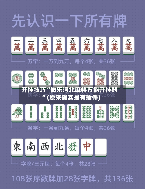 开挂技巧“微乐河北麻将万能开挂器”(原来确实是有插件)