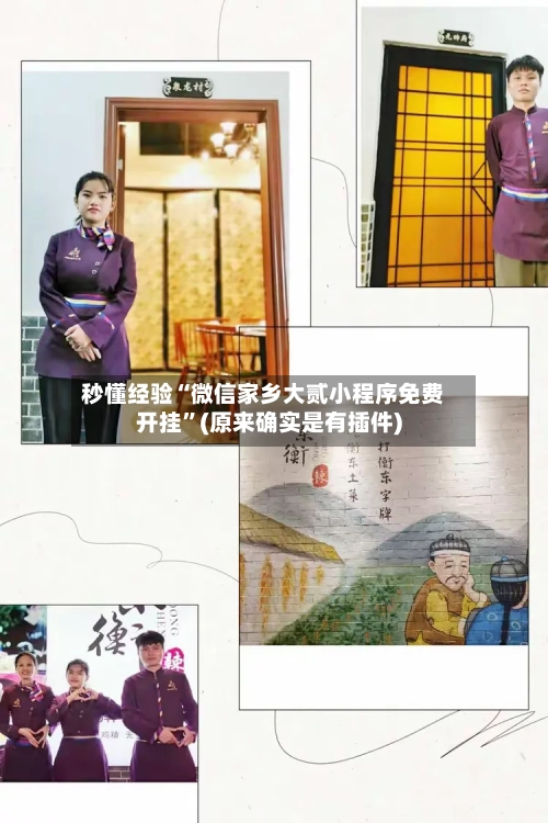 秒懂经验“微信家乡大贰小程序免费开挂	”(原来确实是有插件)-第2张图片