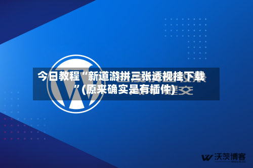 今日教程“新道游拼三张透视挂下载”(原来确实是有插件)-第2张图片