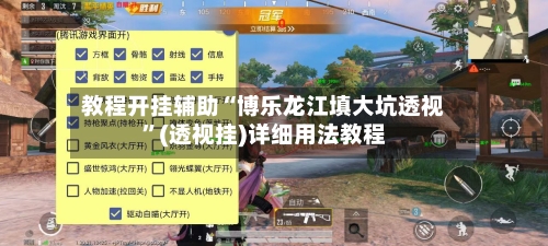 教程开挂辅助“博乐龙江填大坑透视”(透视挂)详细用法教程-第2张图片