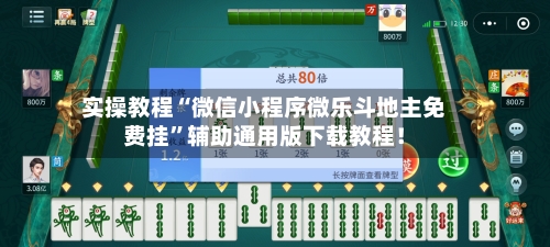 实操教程“微信小程序微乐斗地主免费挂”辅助通用版下载教程！-第2张图片