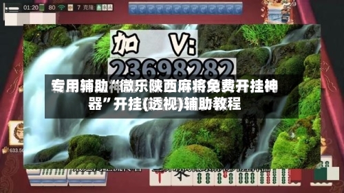 专用辅助“微乐陕西麻将免费开挂神器	”开挂(透视)辅助教程-第2张图片