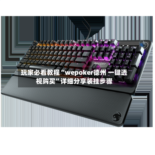 玩家必看教程“wepoker德州 一键透视购买”详细分享装挂步骤-第3张图片