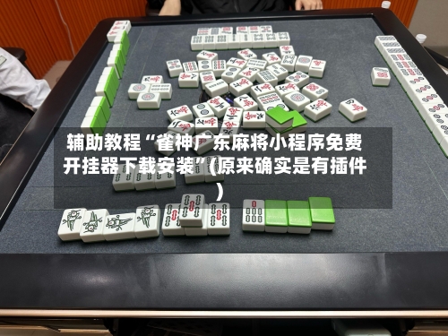 辅助教程“雀神广东麻将小程序免费开挂器下载安装”(原来确实是有插件)-第3张图片