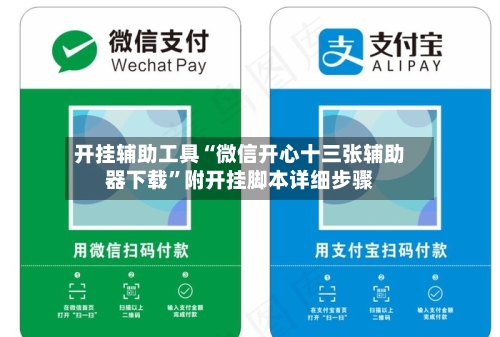 开挂辅助工具“微信开心十三张辅助器下载”附开挂脚本详细步骤-第3张图片