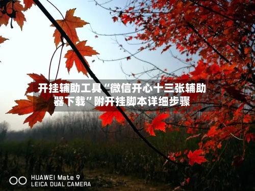 开挂辅助工具“微信开心十三张辅助器下载”附开挂脚本详细步骤-第2张图片