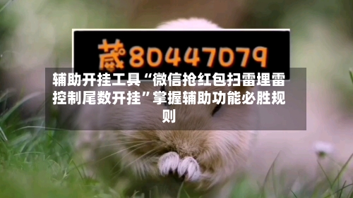 辅助开挂工具“微信抢红包扫雷埋雷控制尾数开挂”掌握辅助功能必胜规则-第2张图片