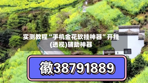 实测教程“手机金花软挂神器”开挂(透视)辅助神器-第3张图片