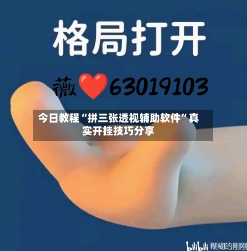 今日教程“拼三张透视辅助软件”真实开挂技巧分享-第2张图片