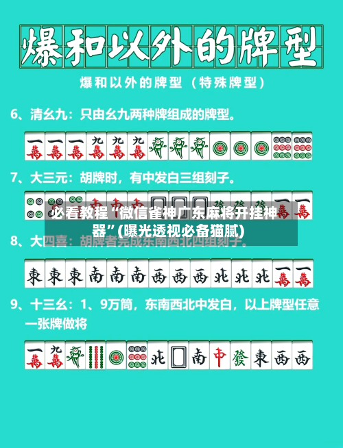 必看教程“微信雀神广东麻将开挂神器”(曝光透视必备猫腻)-第3张图片