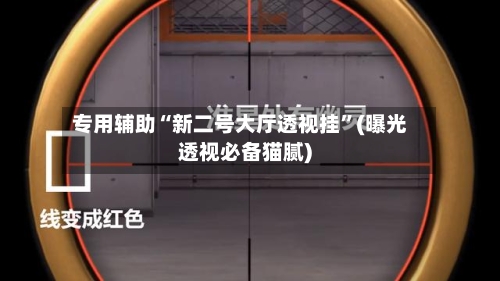 专用辅助“新二号大厅透视挂	”(曝光透视必备猫腻)-第2张图片