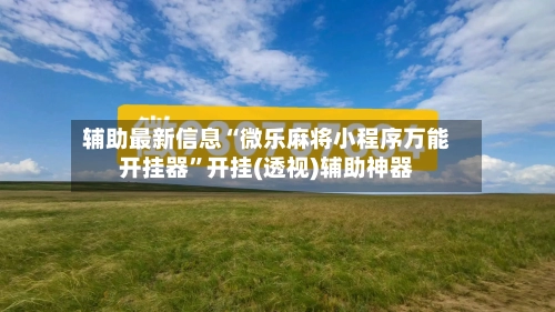 辅助最新信息“微乐麻将小程序万能开挂器”开挂(透视)辅助神器-第2张图片