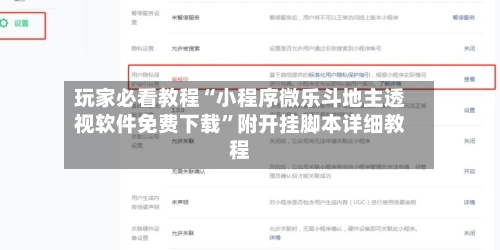 玩家必看教程“小程序微乐斗地主透视软件免费下载”附开挂脚本详细教程-第2张图片