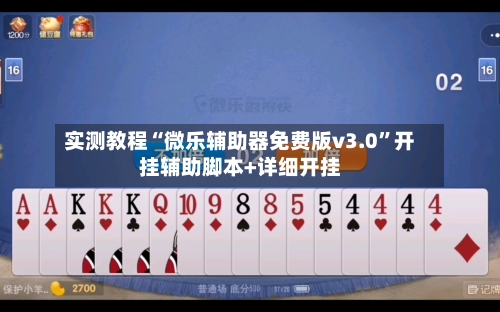 实测教程“微乐辅助器免费版v3.0”开挂辅助脚本+详细开挂-第3张图片