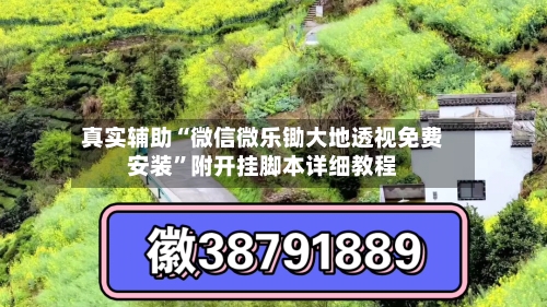 真实辅助“微信微乐锄大地透视免费安装”附开挂脚本详细教程-第2张图片
