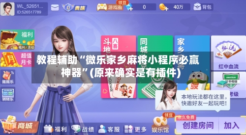 教程辅助“微乐家乡麻将小程序必赢神器	”(原来确实是有插件)-第2张图片