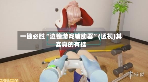 一键必胜“边锋游戏辅助器	”(透视)其实真的有挂-第2张图片