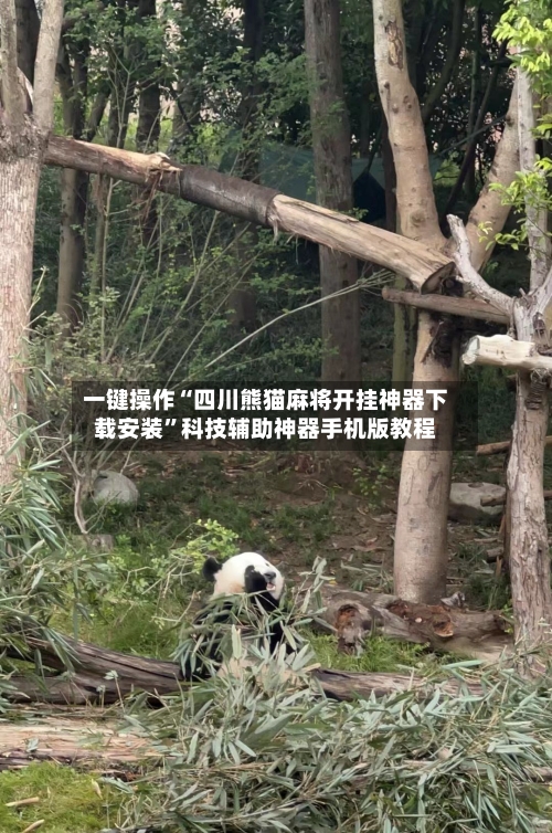 一键操作“四川熊猫麻将开挂神器下载安装”科技辅助神器手机版教程-第2张图片