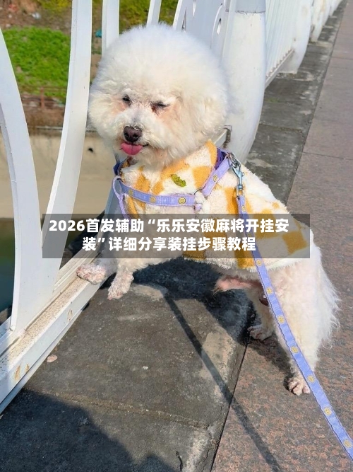 2026首发辅助“乐乐安徽麻将开挂安装	”详细分享装挂步骤教程-第3张图片