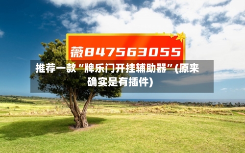 推荐一款“牌乐门开挂辅助器”(原来确实是有插件)-第3张图片