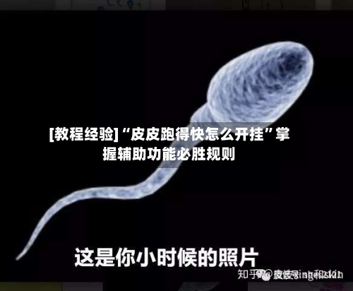 [教程经验]“皮皮跑得快怎么开挂”掌握辅助功能必胜规则-第2张图片