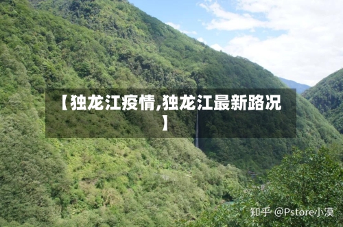 【独龙江疫情,独龙江最新路况】-第2张图片