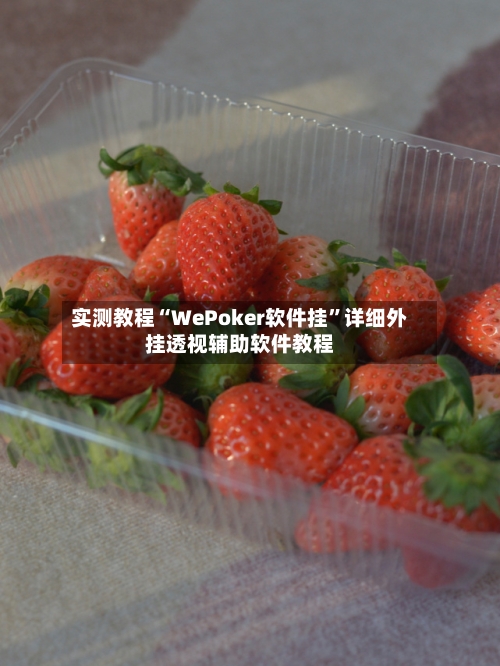 实测教程“WePoker软件挂”详细外挂透视辅助软件教程-第3张图片