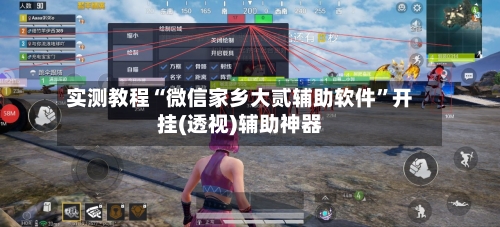 实测教程“微信家乡大贰辅助软件	”开挂(透视)辅助神器-第3张图片