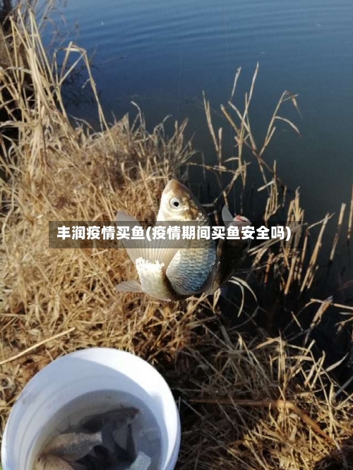 丰润疫情买鱼(疫情期间买鱼安全吗)