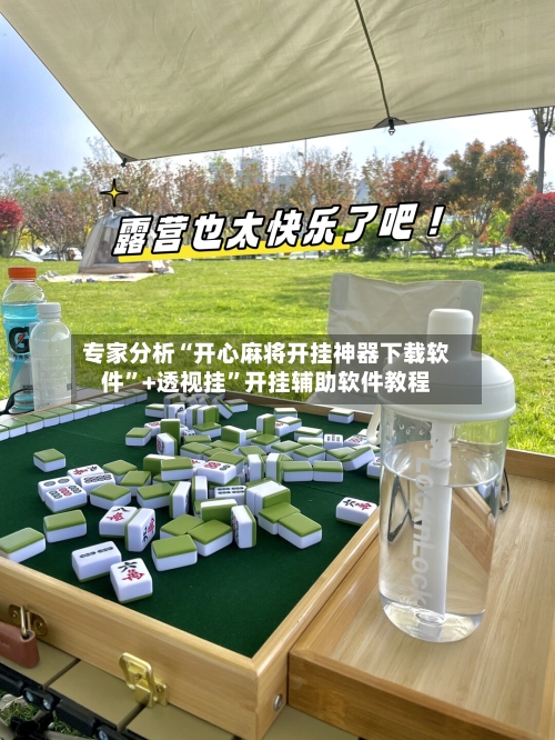 专家分析“开心麻将开挂神器下载软件”+透视挂”开挂辅助软件教程-第2张图片