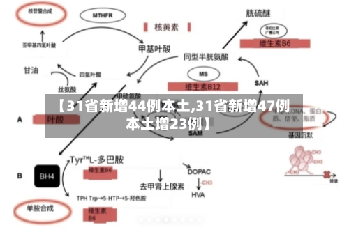 【31省新增44例本土,31省新增47例本土增23例】