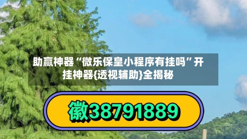 助赢神器“微乐保皇小程序有挂吗	”开挂神器{透视辅助}全揭秘-第2张图片
