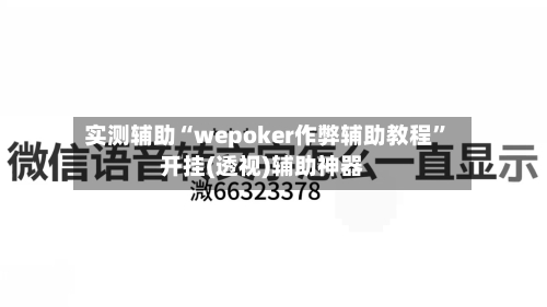 实测辅助“wepoker作弊辅助教程”开挂(透视)辅助神器-第2张图片