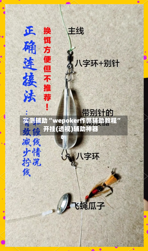 实测辅助“wepoker作弊辅助教程”开挂(透视)辅助神器-第3张图片