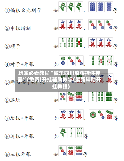 玩家必看教程“微乐四川麻将挂件神器	”(免费)开挂辅助教学(最新辅助开挂教程)-第2张图片