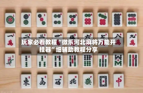 玩家必看教程“微乐河北麻将万能开挂器	”细辅助教程分享-第2张图片