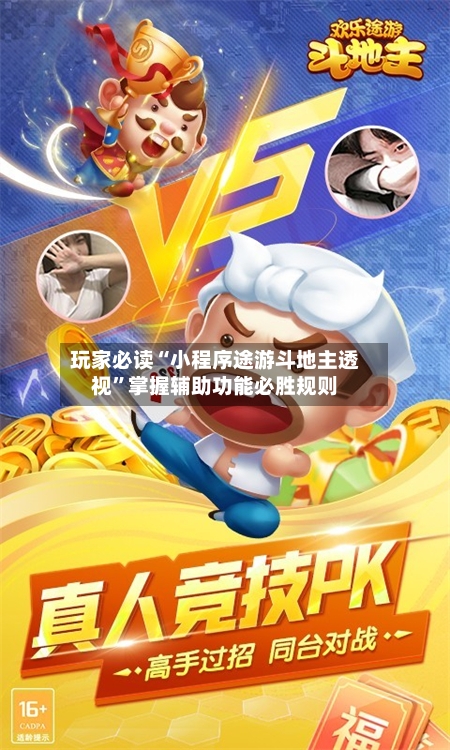 玩家必读“小程序途游斗地主透视”掌握辅助功能必胜规则-第3张图片