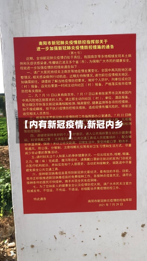 【内有新冠疫情,新冠内乡】-第2张图片