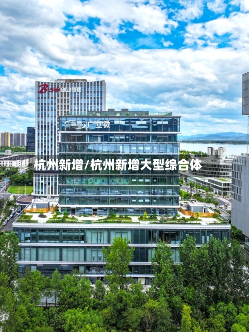 杭州新增/杭州新增大型综合体