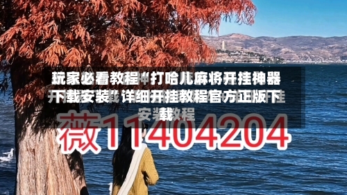 玩家必看教程“打哈儿麻将开挂神器下载安装”详细开挂教程官方正版下载-第2张图片