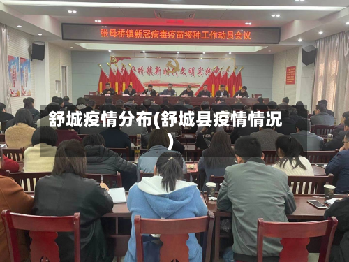 舒城疫情分布(舒城县疫情情况)-第2张图片