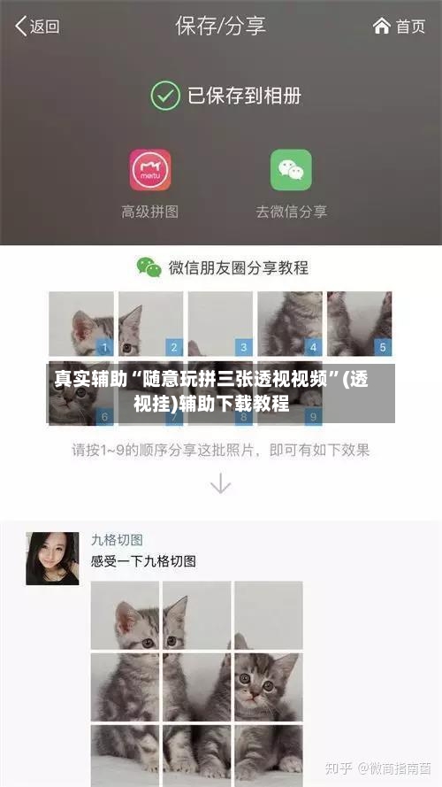 真实辅助“随意玩拼三张透视视频”(透视挂)辅助下载教程-第3张图片
