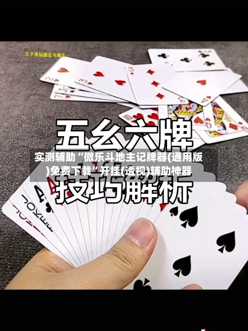 实测辅助“微乐斗地主记牌器(通用版)免费下载	”开挂(透视)辅助神器-第2张图片